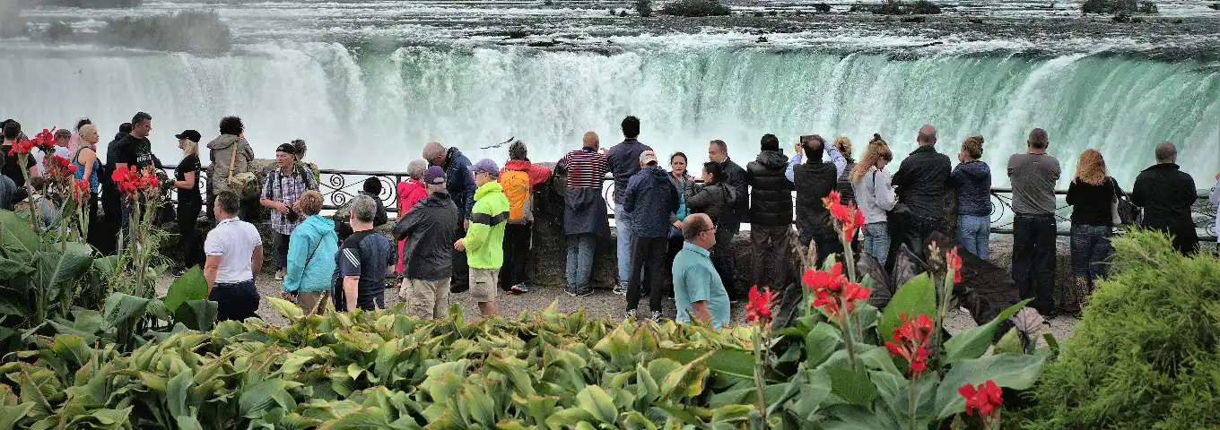 Travel Technology Solutions